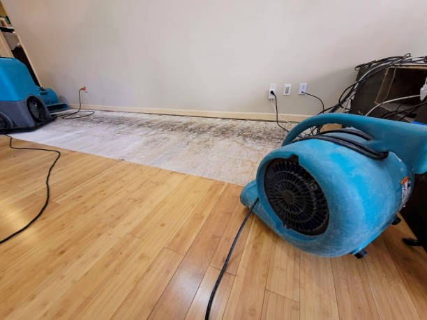 Professional Structural Drying technician working in Urbana, MD